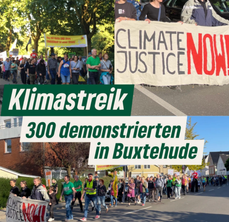 Klimastreik in Buxtehude